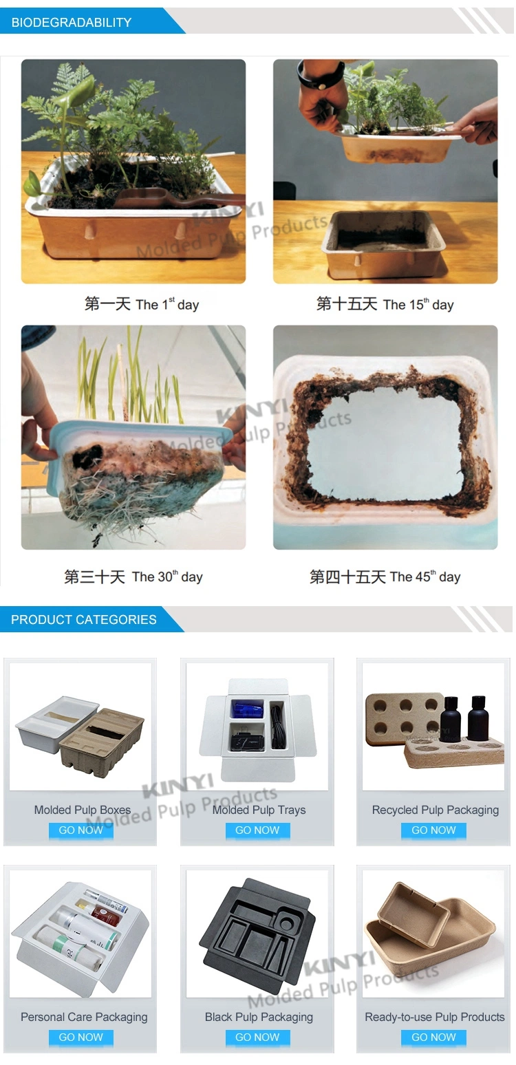 Wet Press White Color Sugarcane Material Recycled Paper Pulp Tray Biodegradable Packaging Inner Tray