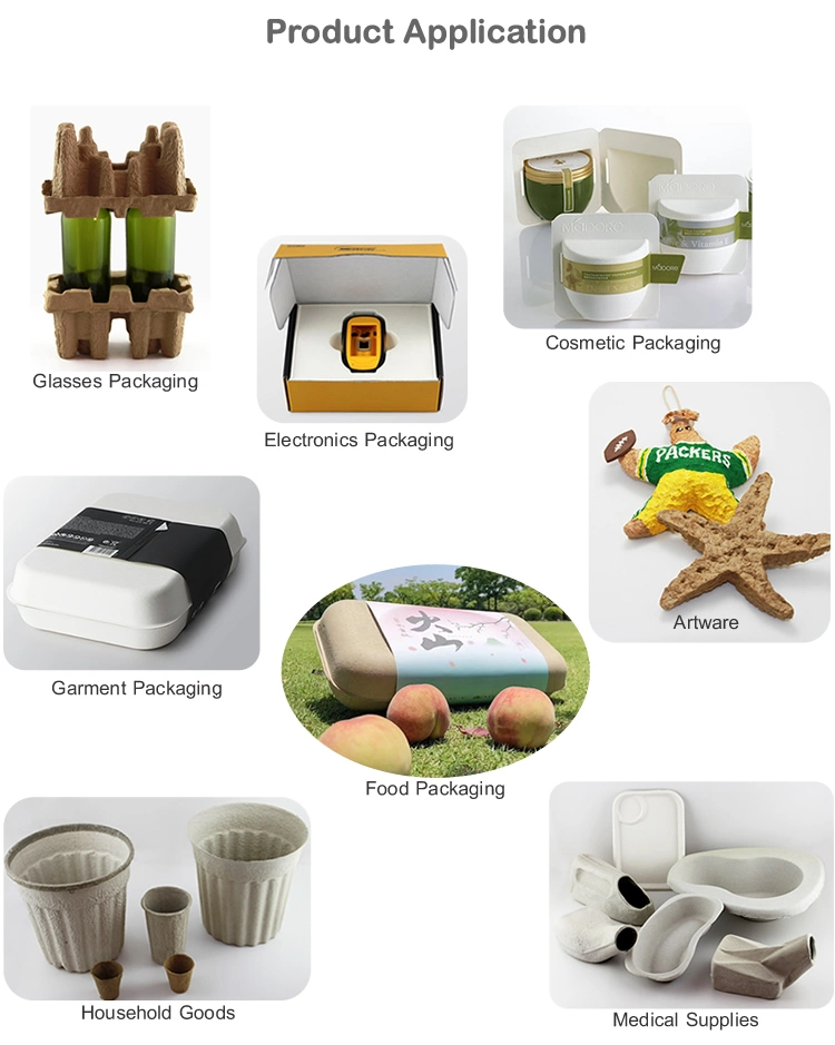 Biodegradable Sugarcane Insert Wet Press Pulp Tray Fruit Packaging Trays