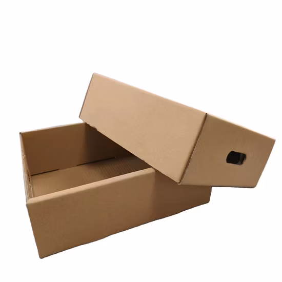 Unicorn Pattern Surface White Corrugated Paper Inner Airplane Box Foldable Holiday Children&prime;s Gift Shoes Packaging Paper Box