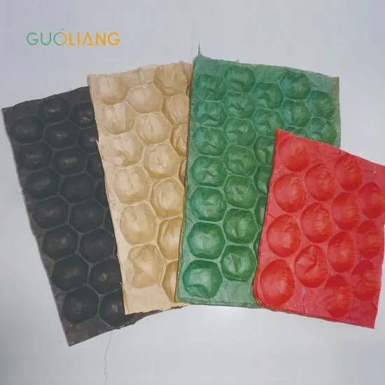 Recyclable Paper Tray Designed for Packing Fresh Tomatoes 