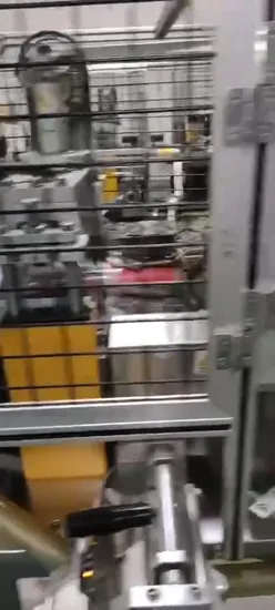 Environmental Friendly with Lid and Straw Double Layer Paper Cup 