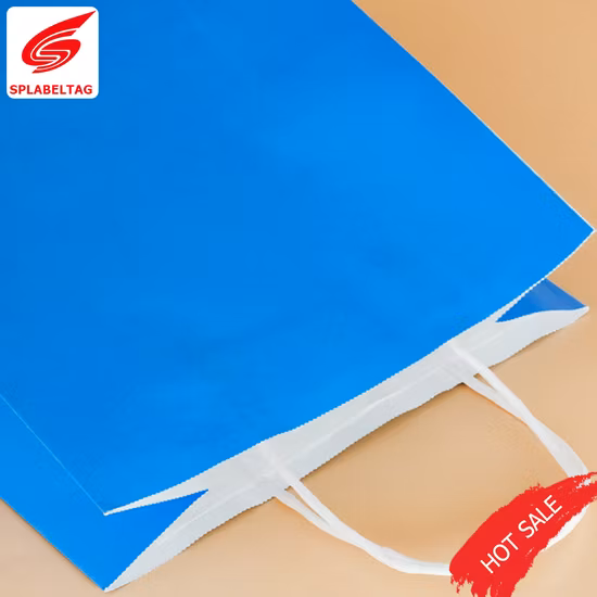 Low Price Garment Jewelry Cosmetic Gift Shopping Paper Bags with Handles Hand