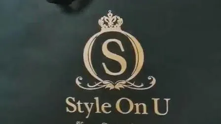 Custom Logo Luxury Large Packaging Shopping Black Paper Gift Bags with Handle 