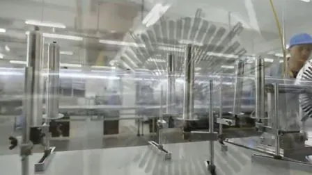 Custom Frosted Plastic Box for Gift Blister Packaging 