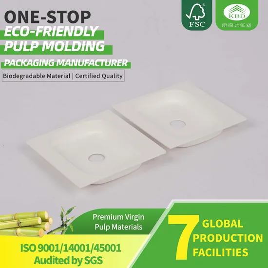 Premium Quality Paper Pulp Tray for Bluetooth Headset 