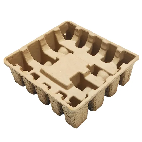 Custom Design Biodegradable Tray Using Advanced Wet Press Technology 