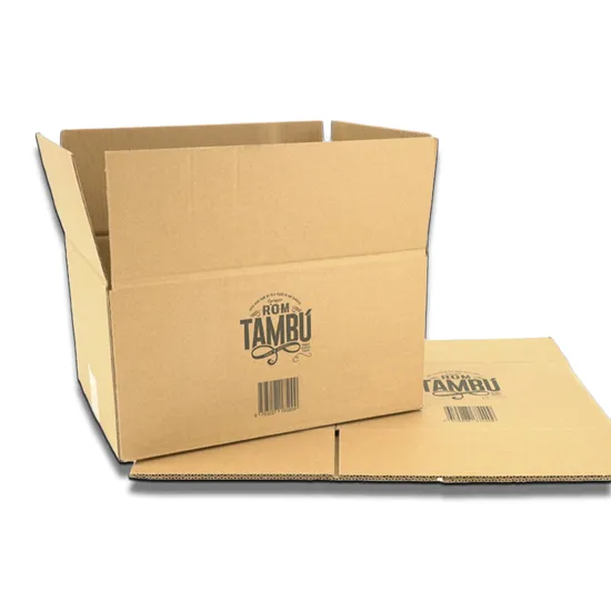 Customized Paper Be Flute Corrugated Archive Storage Shipping Carton with Custom Printing