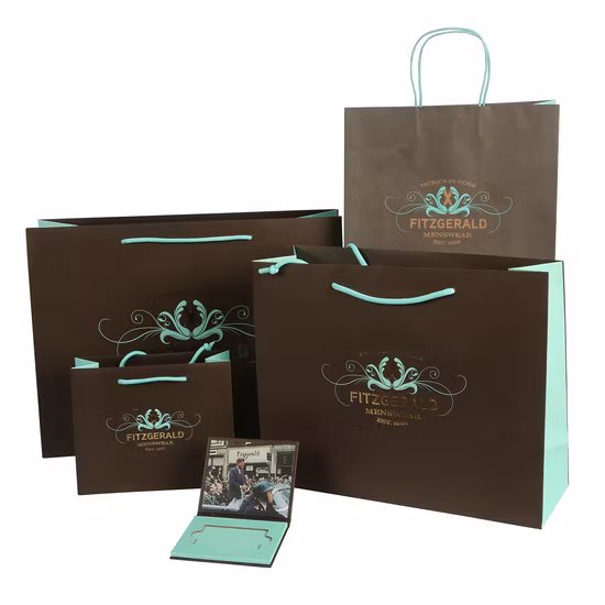 Custom Fashion Your Own Logo Print Cosmetics Luxury Gift Shopping Paper Bags with Handle