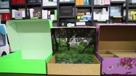 Shaped Cardboard Packing Paper Box 