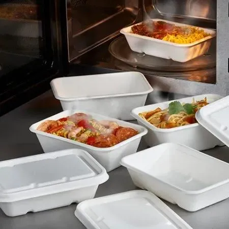 Biodegradable Food Tray Sugarcane Bagasse Paper Pulp Tableware Biodegradable Trays 
