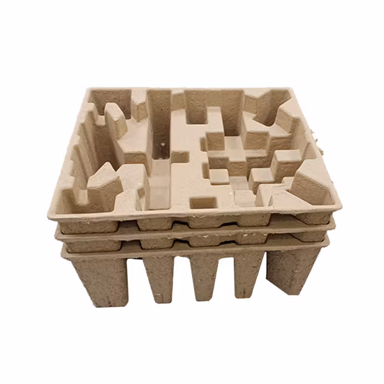 Biodegradable Sugarcane Insert Wet Press Pulp Tray Fruit Packaging Trays