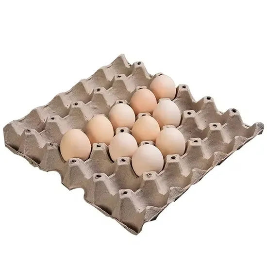 Customized Recyclable Biodegradable Egg Tray Paper Quality Pulp Cardboard Egg Trays Disposable 