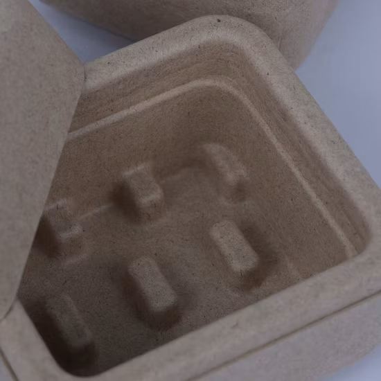 Eco Friendly Custom Bamboo Sugarcane Wet Press Paper Tray